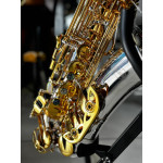 Saxofone Alto Sebastian em Bb Corpo Prata C/chaves Gold Plated em Ouro 24k - Ssa-04sg