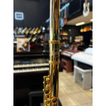 Flauta Transversal em do Sebastian Sfl01g Gold 24