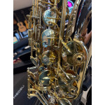 Saxofone Tenor Sebastian Gold 12 Chaves Laq Sst05qsn