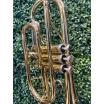 CORNET SEBASTIAN BB LAQUEADO SCO-CR8536 - 2023 CORNET SEBASTIAN BB LAQUEADO SCO-CR8536 - 2023