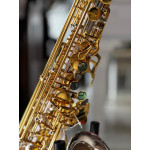 Saxofone Alto Sebastian em Bb Corpo Prata C/chaves Gold Plated em Ouro 24k - Ssa-04sg