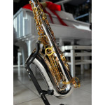 Saxofone Alto Sebastian em Bb Corpo Prata C/chaves Gold Plated em Ouro 24k - Ssa-04sg