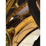 SAXOFONE ALTO SEBASTIAN EB GOLDBRASS CHAVES DOURADAS SSA-AX818QSN - 2029 SAXOFONE ALTO SEBASTIAN EB GOLDBRASS CHAVES DOURADAS SSA-AX818QSN - 2029