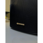 Caixa Soundvoice Ot-65 - Seminovo