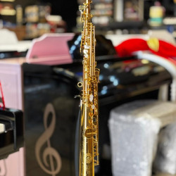 Saxofone Soprano Zellmer Bb Zss-600l 