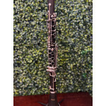 Clarinete Shelter 17ch Bb Abs - Seminovo 