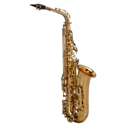 SAXOFONE ALTO SHELTER SFT6430L LAQ