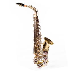 SAXOFONE ALTO SHELTER SNFT6430LN LAQ/NIQ