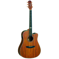 VIOLAO STRINBERG FOLK SD300C WS FOSCO - 13371
