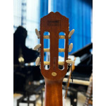 VIOLAO STRINBERG FLAT NYLON SL200C MGS FOSCO