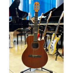 VIOLAO STRINBERG FLAT NYLON SL200C MGS FOSCO