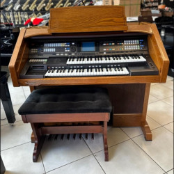 Orgao Technics Sx-g100 - Seminovo 