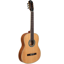 VIOLAO TAGIMA PARATY NY NS