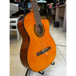 VIOLAO TAKAMINE GC1CE LH N & TP-4T 