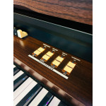 Orgao Tokai T1 Liturgico Wengue - T1 Wg
