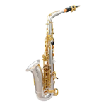 Saxofone Alto Tokai Tsa200pg