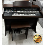 Orgao Dualkey - Seminovo