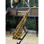 Saxofone Alto Tokai Tsa200pg
