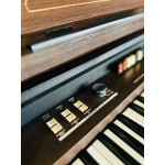 Orgao Tokai T1 Liturgico Wengue - Seminovo