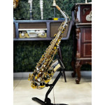 Saxofone Alto Tokai Tsa200pg