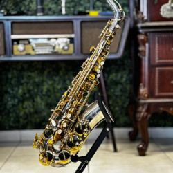 Saxofone Alto Tokai Tsa200pg