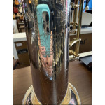 Saxofone Soprano Tokai Tss200pg