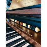 Orgao Tokai T1 Liturgico Wengue - T1 Wg