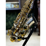 Saxofone Alto Tokai Tsa200pg