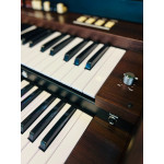 Orgao Tokai T1 Liturgico Wengue - T1 Wg