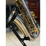 Saxofone Alto Tokai Tsa200pg