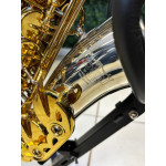 Saxofone Alto Tokai Tsa200pg