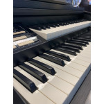 Orgao Tokai Md5 Preto com Banqueta - Mostruário