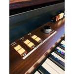 Orgao Tokai T1 Liturgico Wengue - T1 Wg