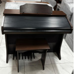 Orgao Dualkey - Seminovo