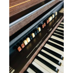 Orgao Tokai T1 Liturgico Wengue - Seminovo