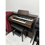 Orgao Tokai D2 Amadeirado - Seminovo