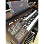 Orgao Tokai Md750 Amadeirado C/banqueta