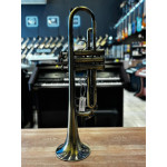 Trompete Tokai Tr400en Sib Envelhecido