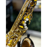 Saxofone Alto Tokai Tsa200pg