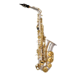 Saxofone Alto Tokai Tsa200pg