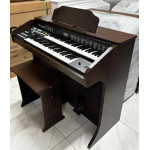 Orgao Dualkey - Seminovo