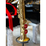 Saxofone Soprano Vogga Vssp701 Laqueado - Seminovo