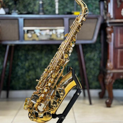 Saxofone Alto Vogga Vsas701n Laq