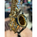 Saxofone Alto Vogga Vsas701n Laq - Seminovo