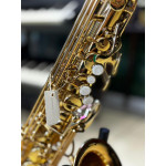 Saxofone Alto Vogga Vsas701n Laq Saxofone Alto Vogga Vsas701n Laq