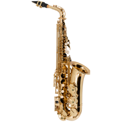 SAXOFONE ALTO VOGGA VSAS701N LAQ - 15726