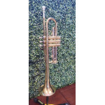 Trompete Concert Laq/niq do Completo -mostruario