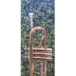 Trompete Concert Laq/niq do Completo -mostruario