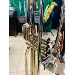Trombone de Pisto Weril F670 em Sib Niq - Seminovo Trombone de Pisto Weril F670 em Sib Niq - Seminovo