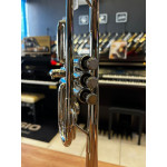 Trompete Weril Junior 93 do Niq Seminovo 